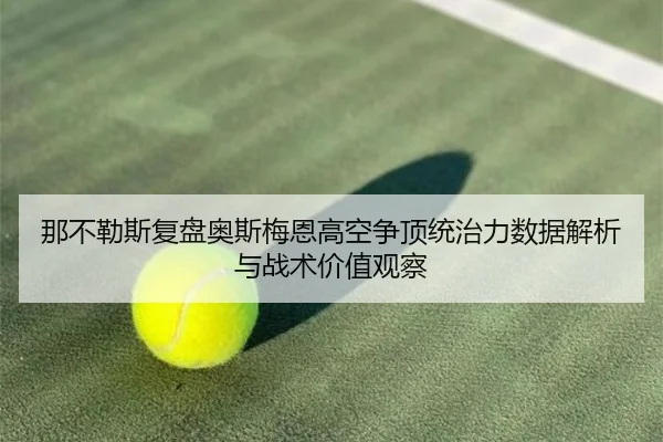 那不勒斯复盘奥斯梅恩高空争顶统治力数据解析与战术价值观察 | leyu